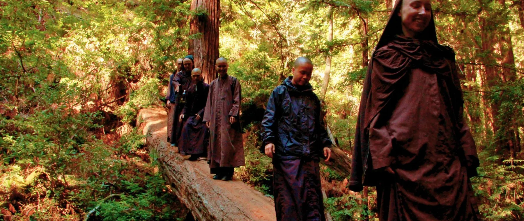 Plum Village Highlights Research on Thich Nhat Hanh’s Engaged Buddhism