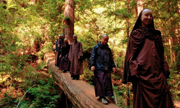 Plum Village engaged Buddhism research — 2026